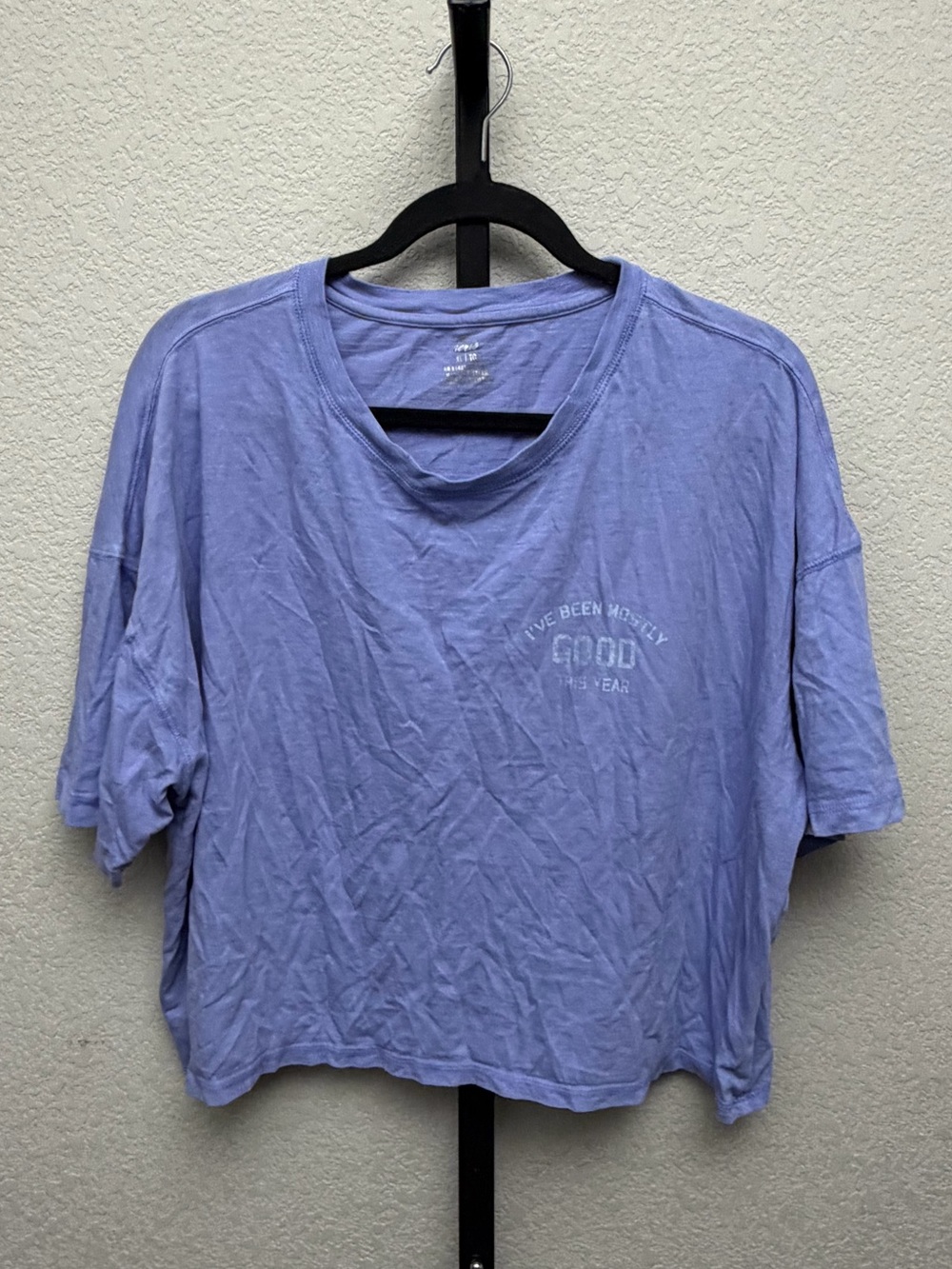 Aerie Periwinkle I’ve Been Mostly Good All Year Distressed Cropped Tee - Women